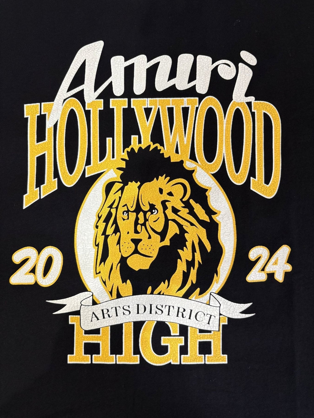 AMIRI Lion & Letter Graphic Short-Sleeve T-Shirt — detail