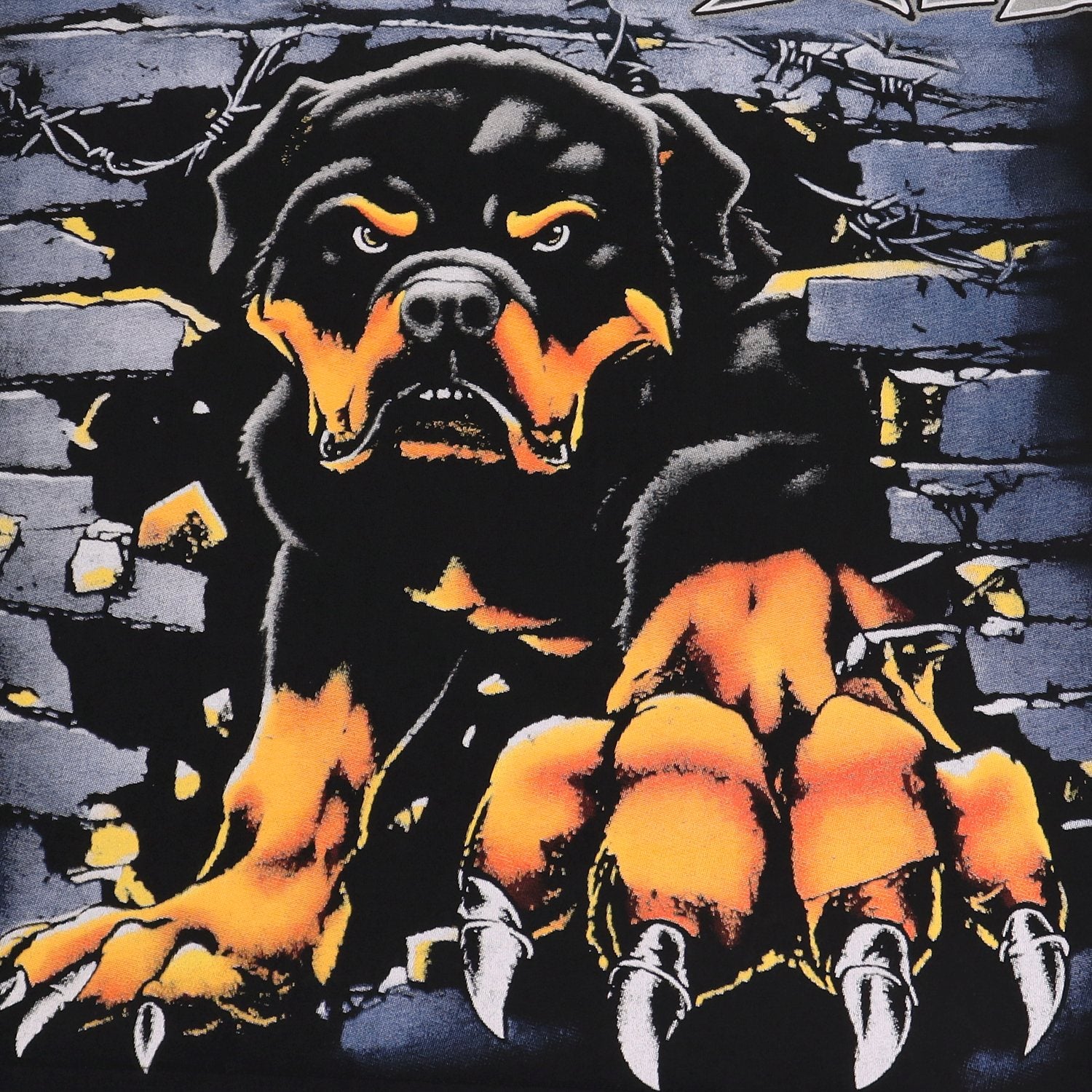 Valley Dreams Rottweiler Graphic Washed Black T-Shirt — detail