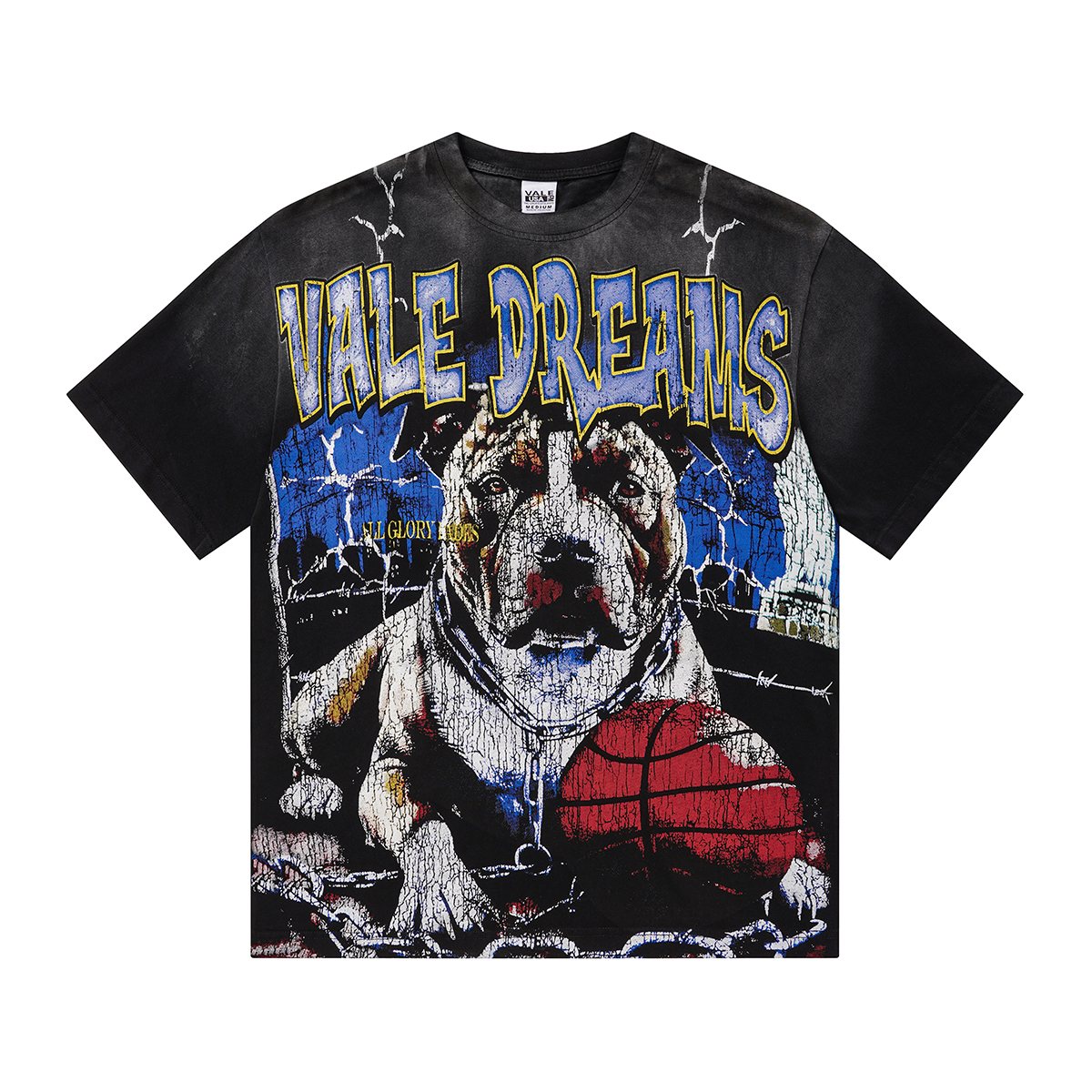 VALLEY Dog Basketball Graphic T-Shirt — hero