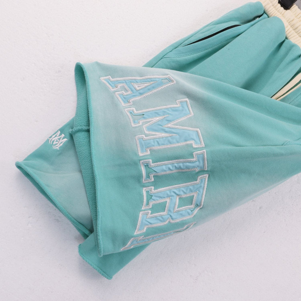 AMIRI Vintage Collegiate Graphic Shorts — detail