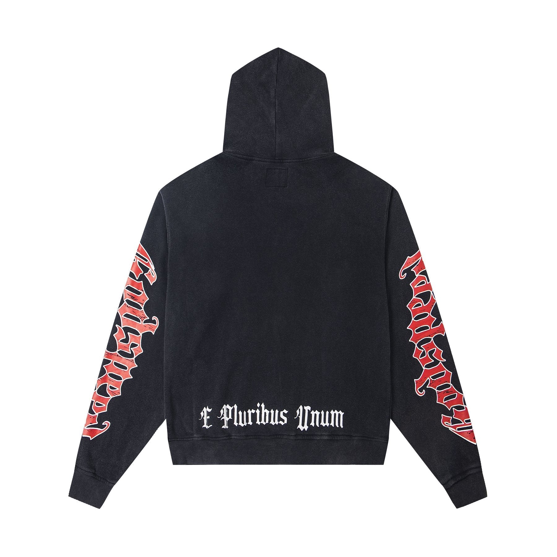 Godspeed E Pluribus Unum Graphic Hoodie — back