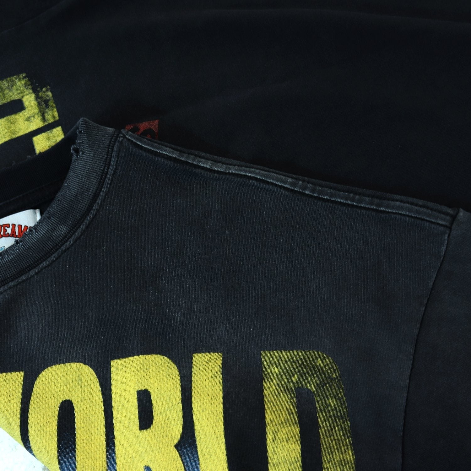 Valley Dreams Vale World Ride Graphic T-Shirt — detail