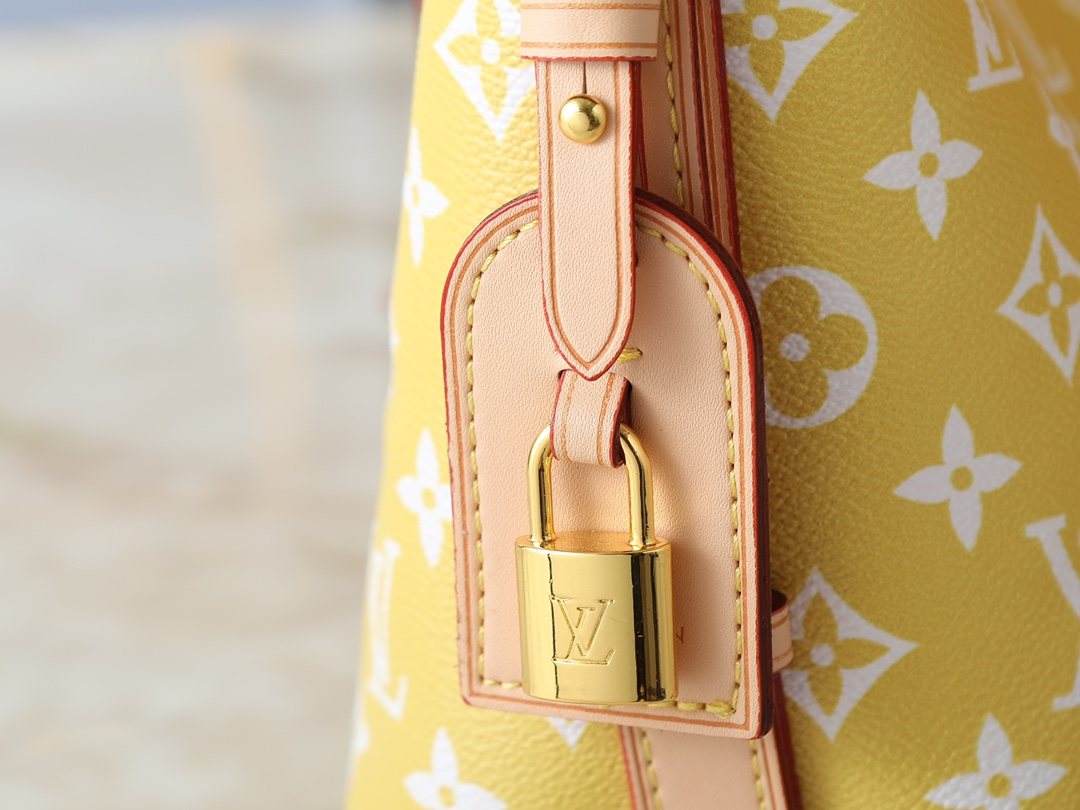 Louis Vuitton All In BB Monogram Bucket Bag — detail