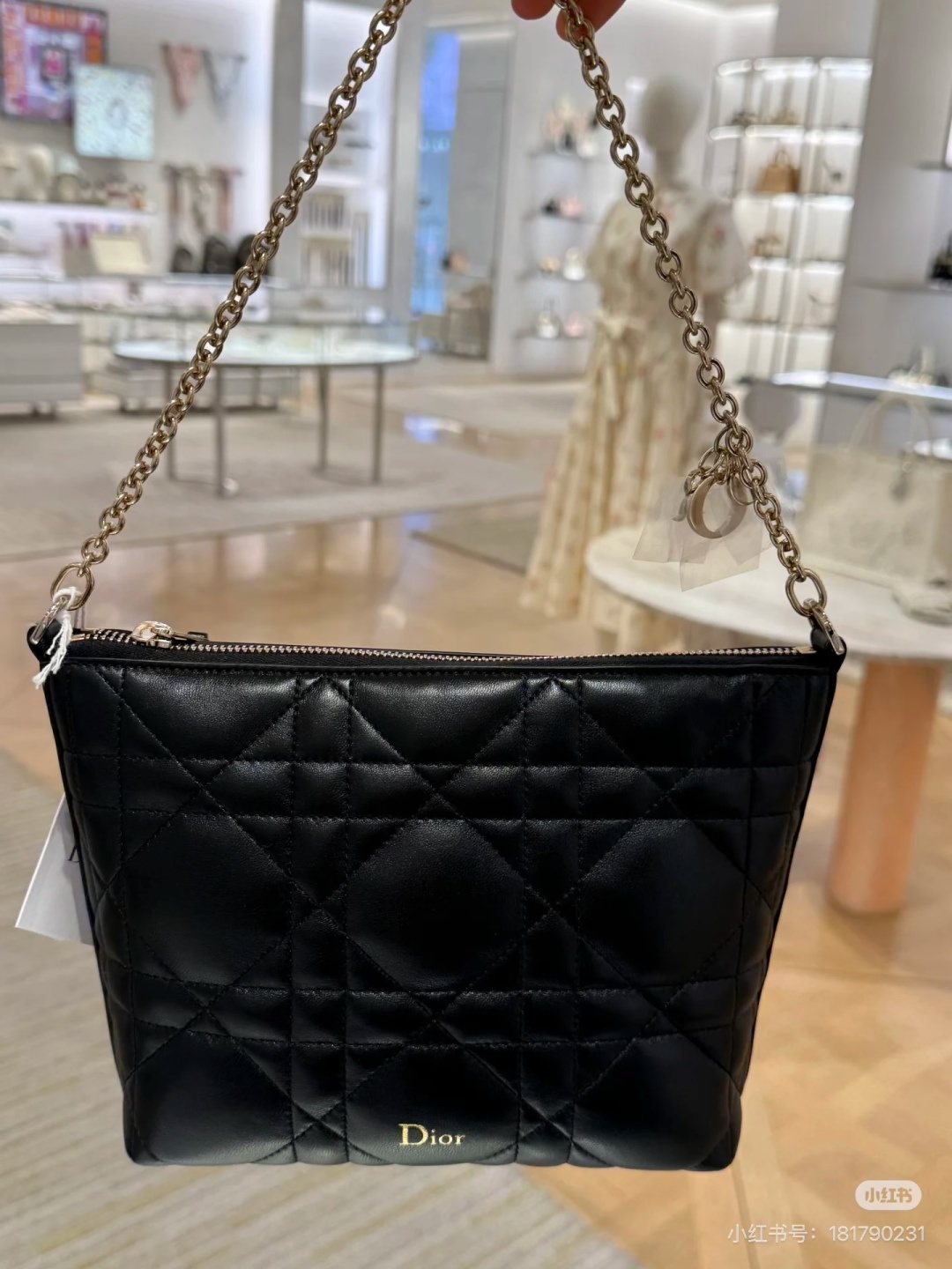 Dior Diorling Quilted Hobo Shoulder Bag — hero
