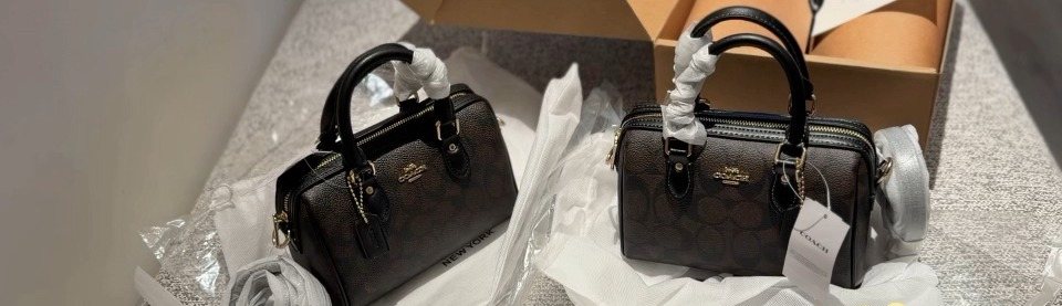 Coach Rowan Zip-Top Satchel Bag — comparison
