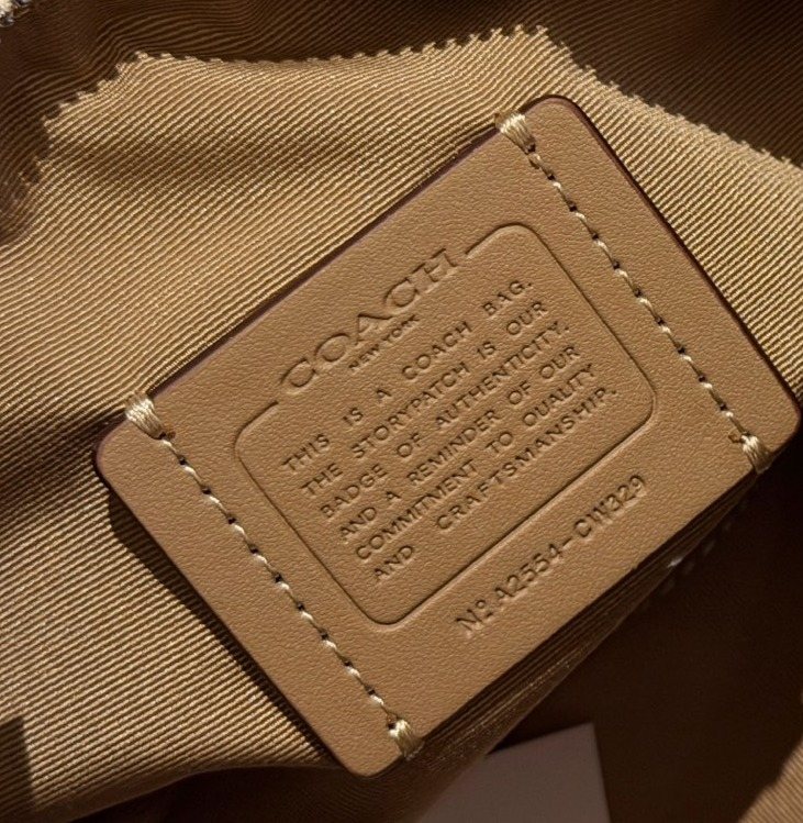 Coach Rowan Zip-Top Satchel Bag — detail