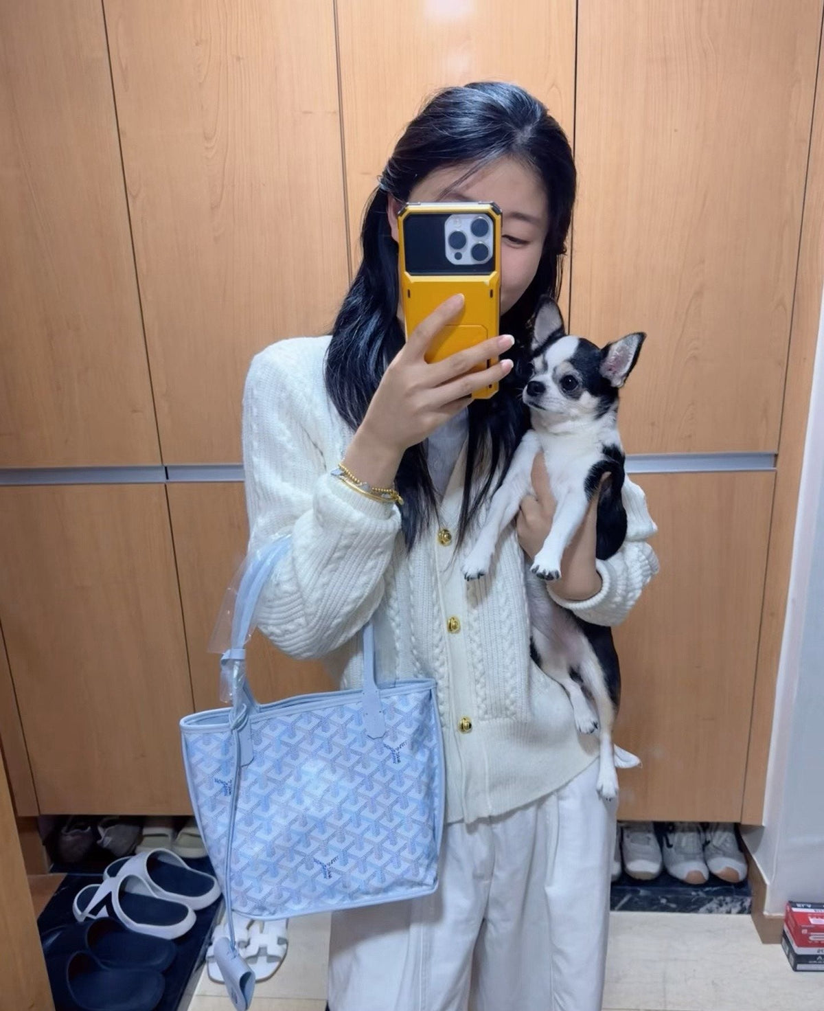 Goyard Geometric Pattern Open-Top Tote Bag — model