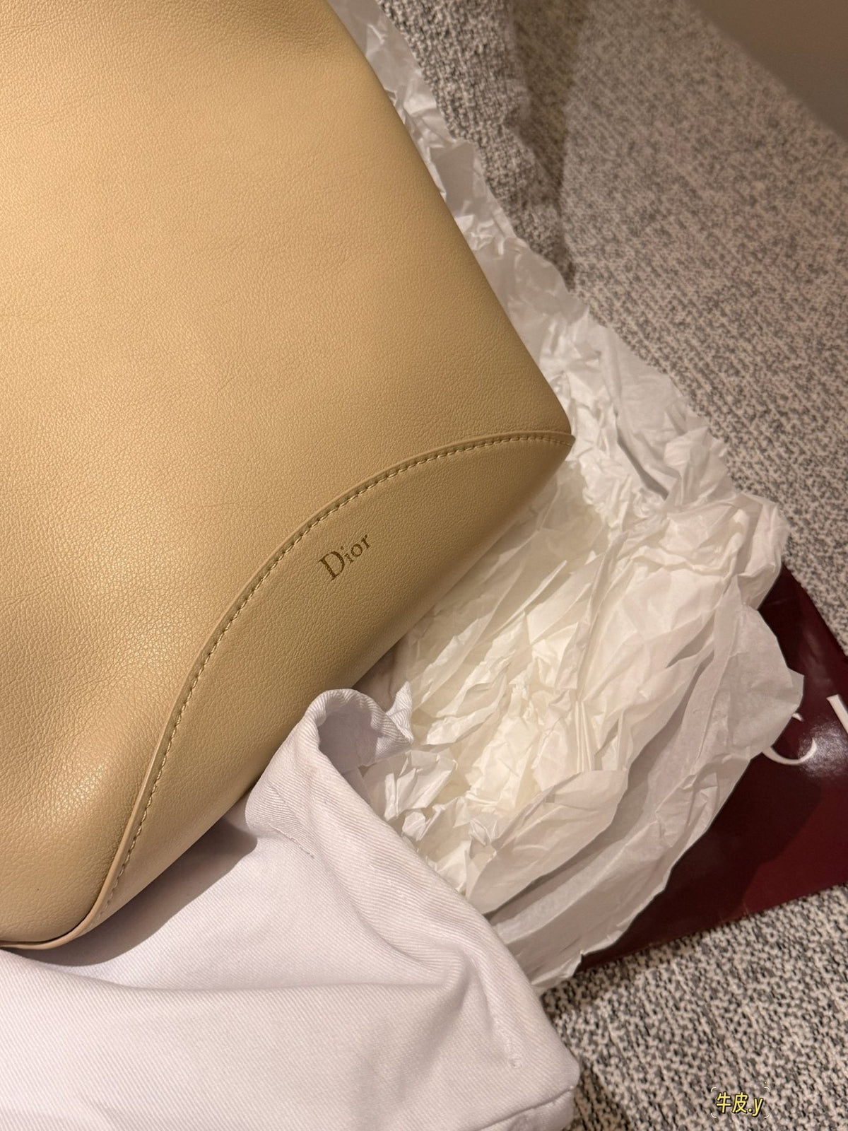 Dior Medaillon Bucket Shoulder Bag — detail
