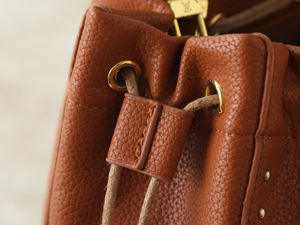 Louis Vuitton Noé Trunk Drawstring Bucket Bag — detail