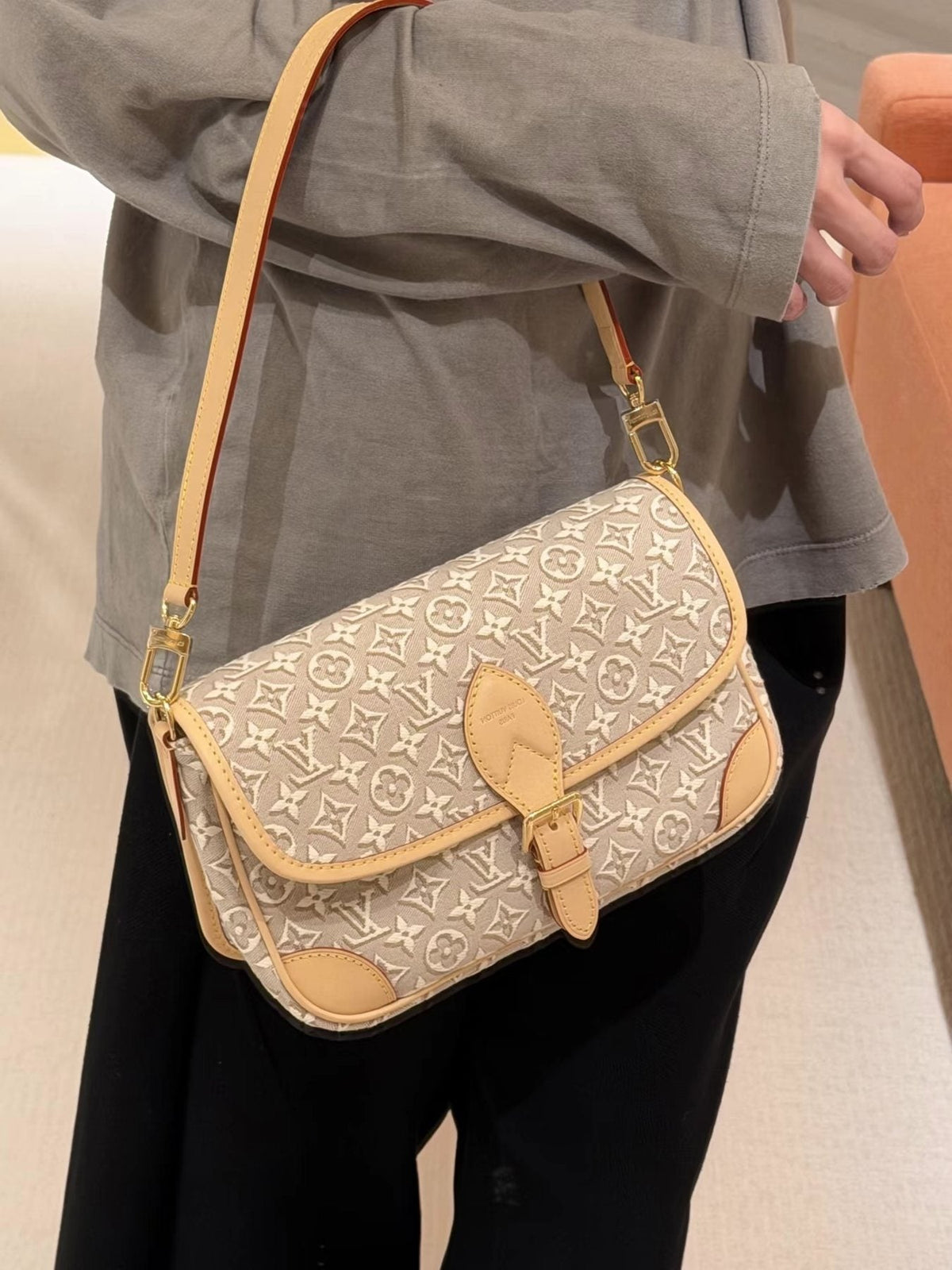 Louis Vuitton Diane Monogram Shoulder Bag — model