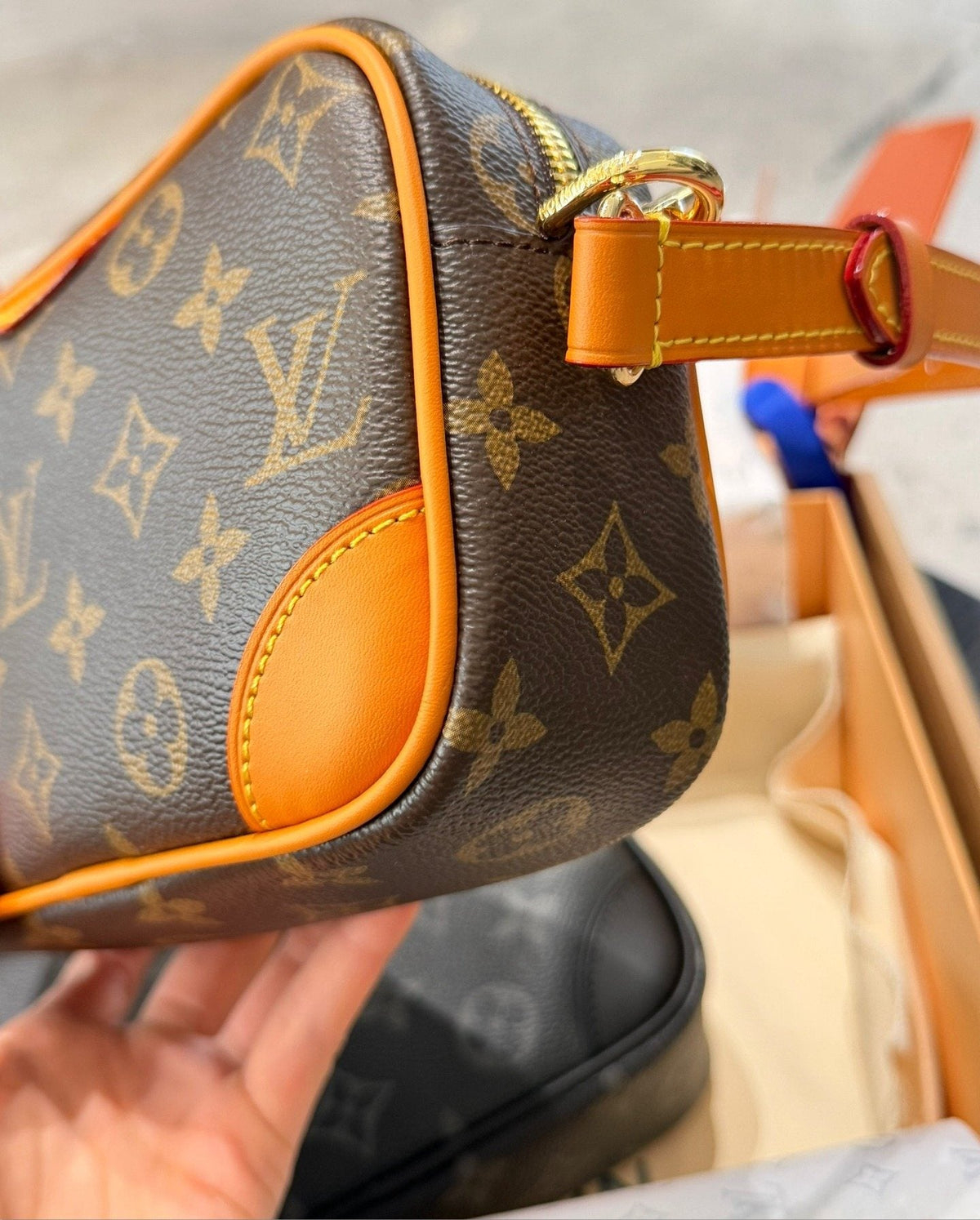 Louis Vuitton Nano Alpha Monogram Camera Bag — detail