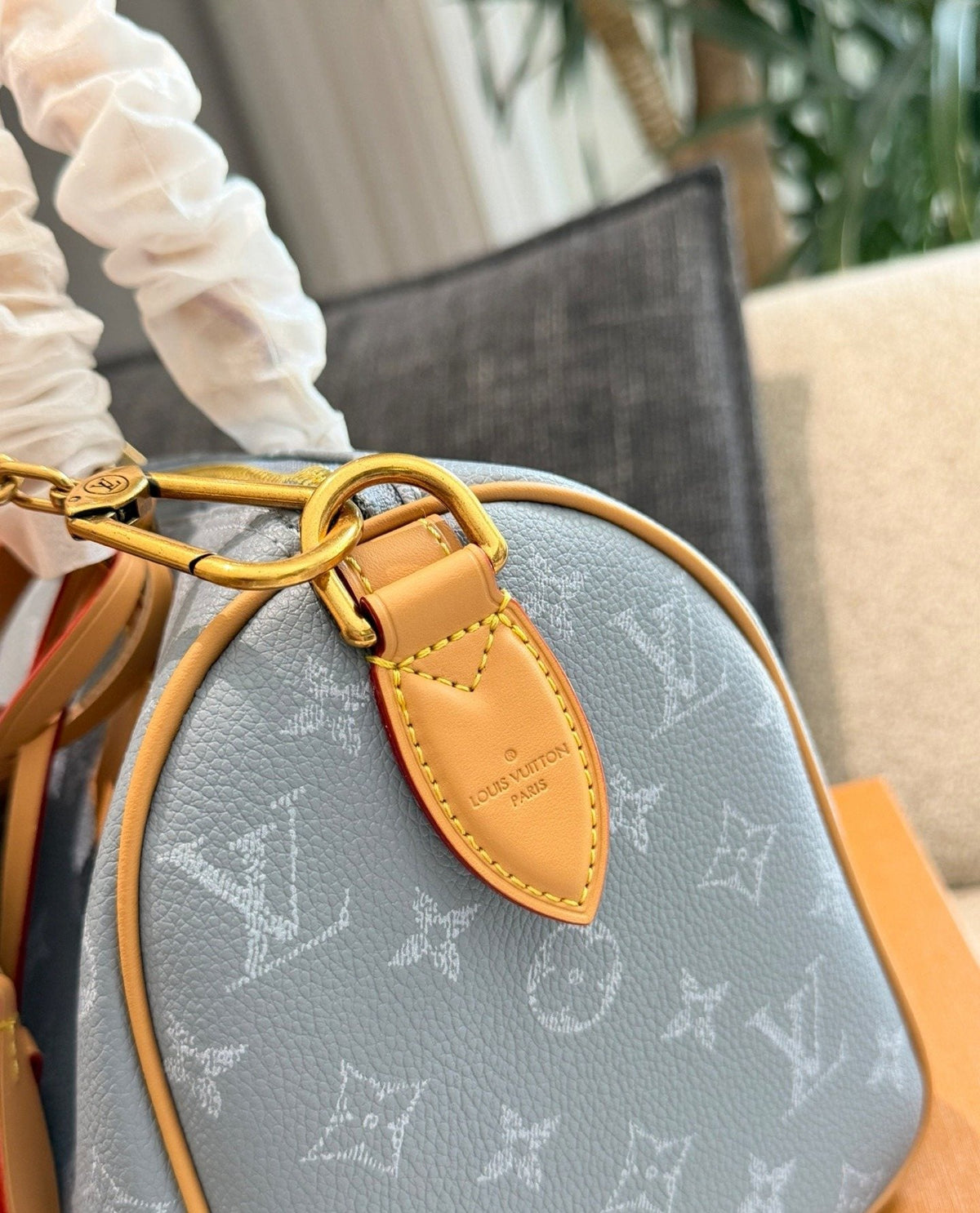 Louis Vuitton Speedy Monogram Handbag — detail