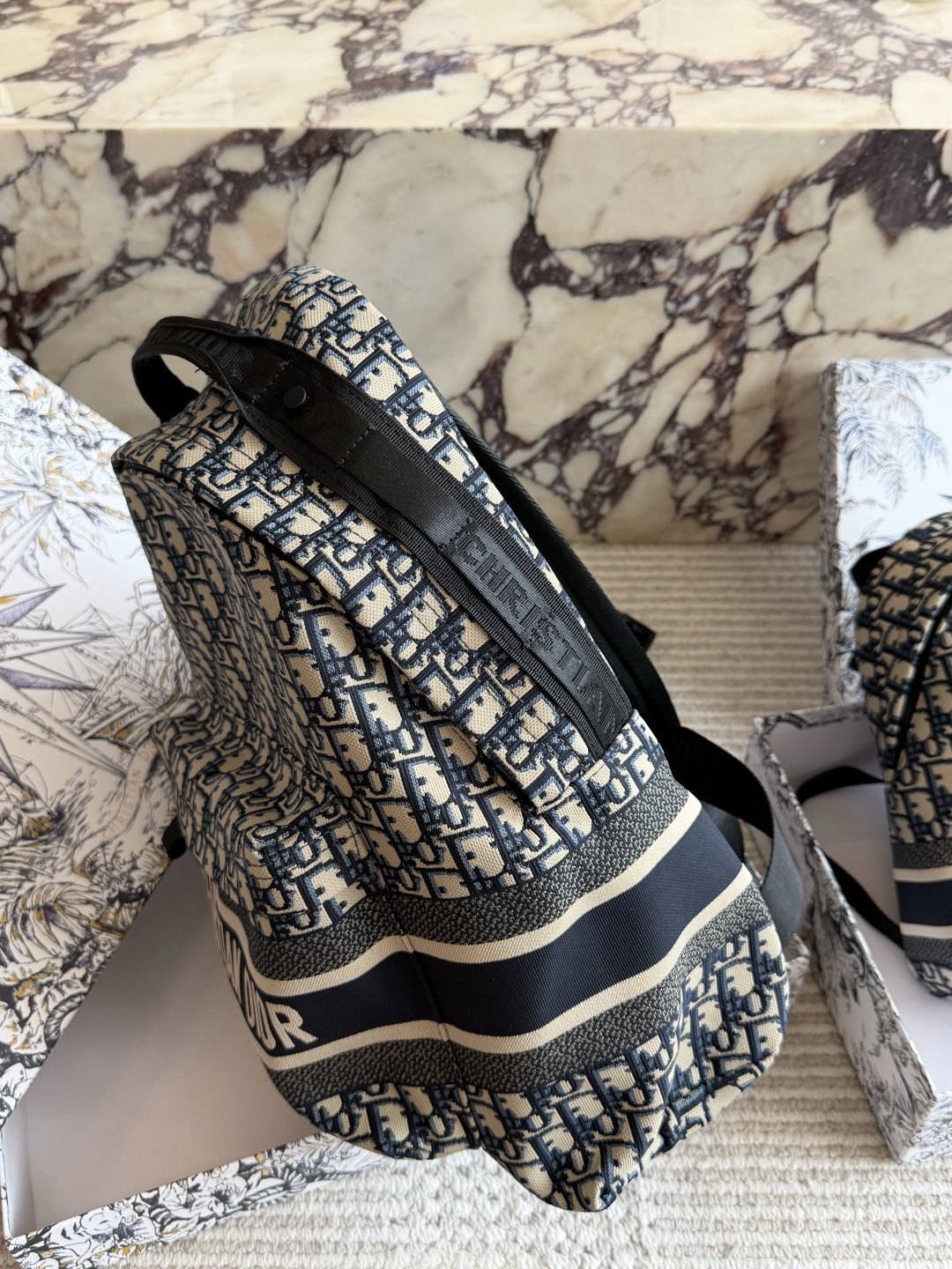 Dior Oblique Monogram Backpack — side