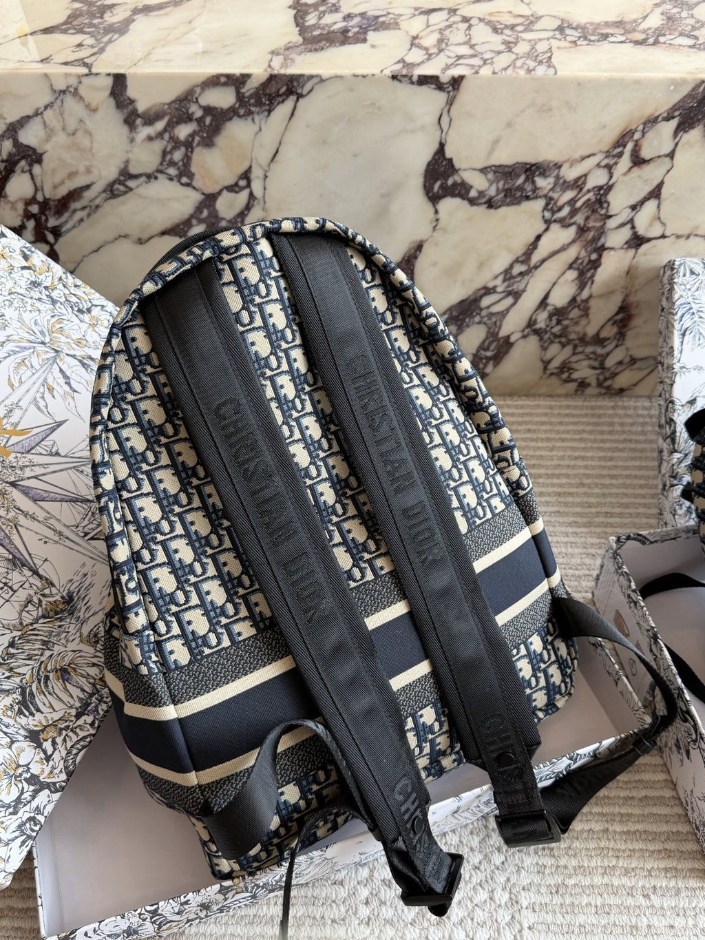 Dior Oblique Monogram Backpack — back