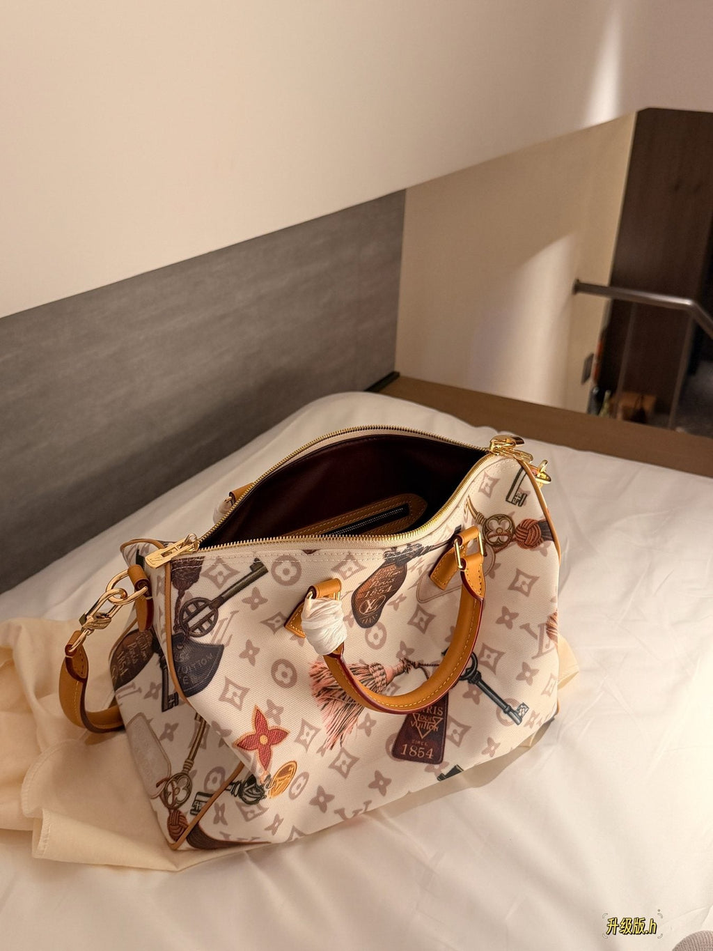 Louis Vuitton Speedy Flight Mode Printed Satchel — detail