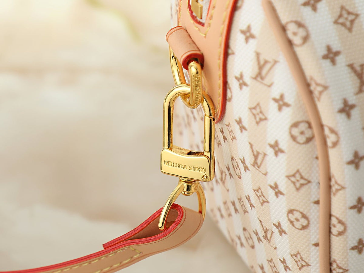 Louis Vuitton Stamp Speedy Bandoulière Striped Bag — detail