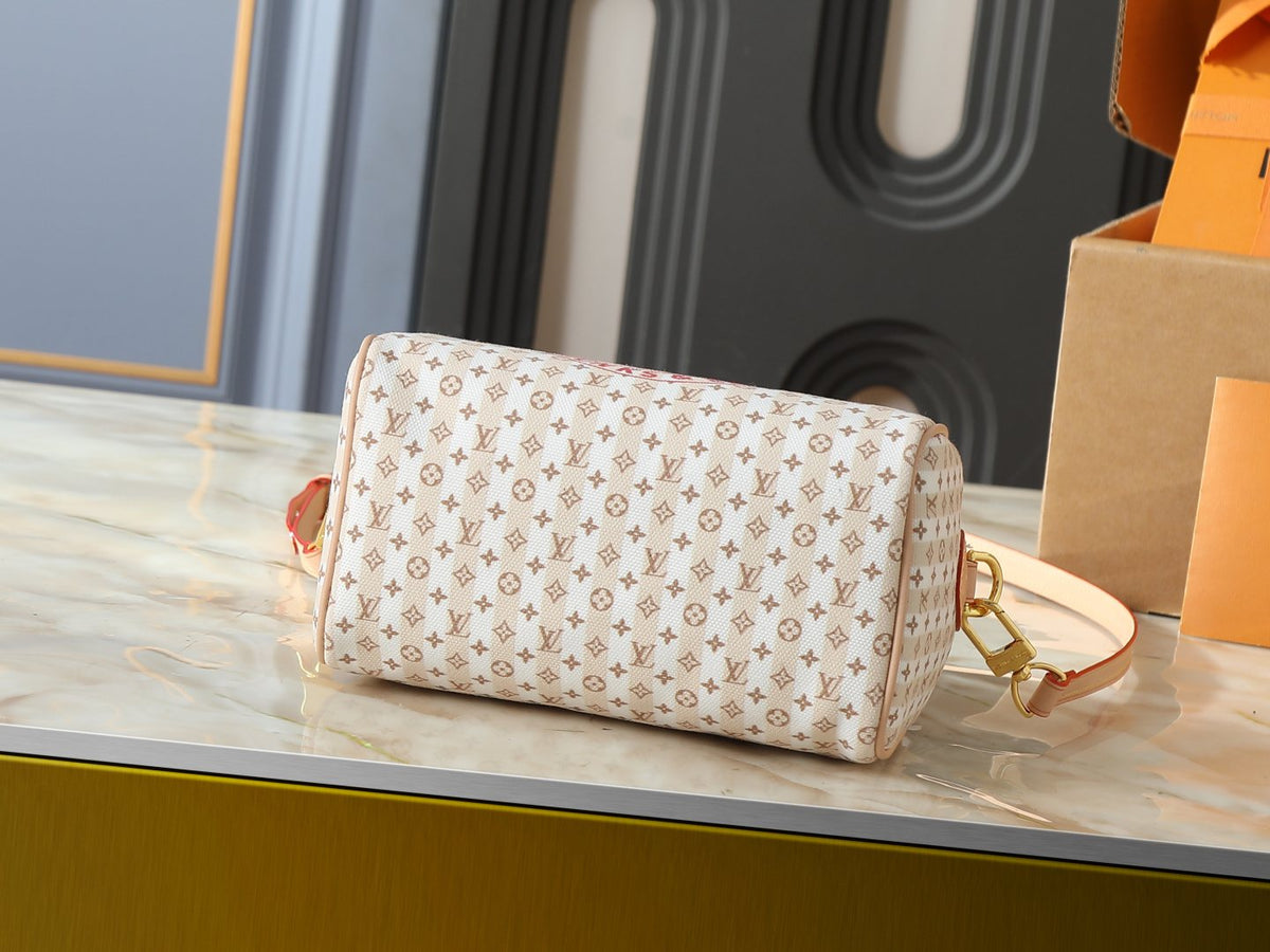 Louis Vuitton Stamp Speedy Bandoulière Striped Bag — detail