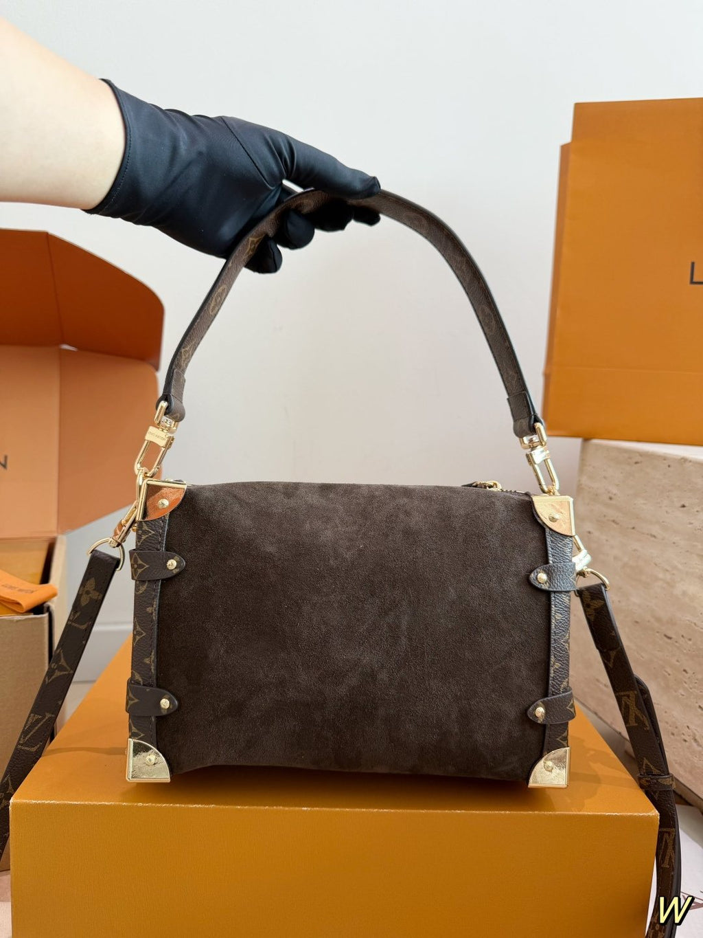 Louis Vuitton Trunk Top-Handle Bag with Monogram Trim — back