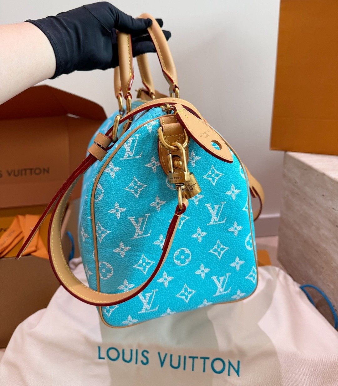 Louis Vuitton Speedy Monogram Satchel — side