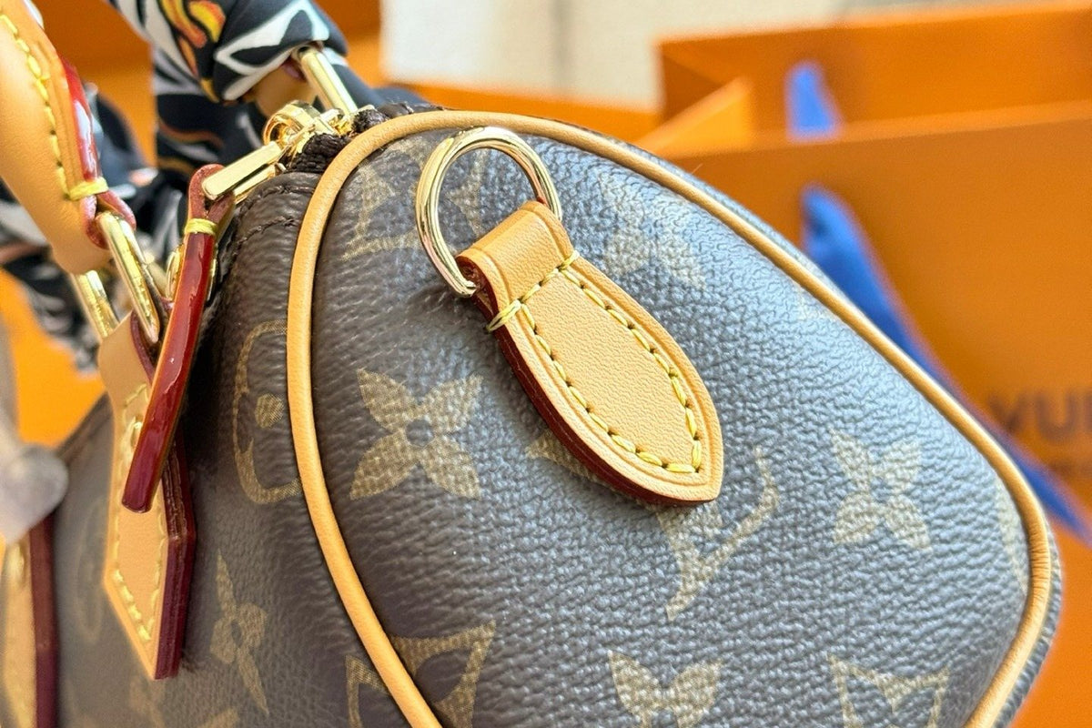 Louis Vuitton Speedy Nano Monogram Satchel — detail