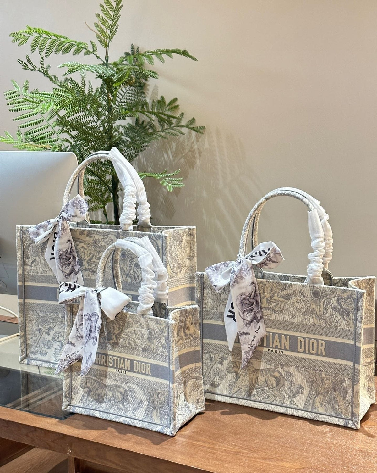 Dior Book Tote with Patterned Panels — comparison
