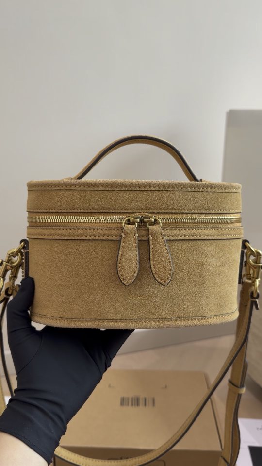 Coach Trail Top Handle Vanity Bag — model