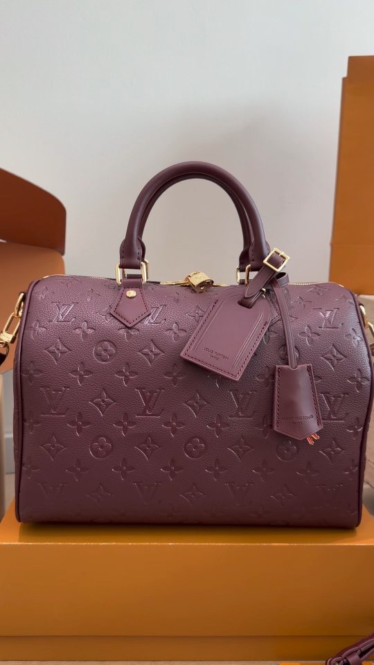 Louis Vuitton Speedy Soft Lucky Burgundy Monogram Bag — hero